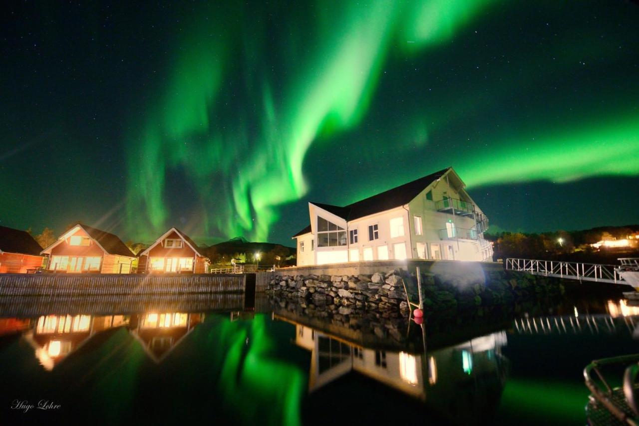Senja Fjordhotell And Apartments Stonglandseidet Kültér fotó