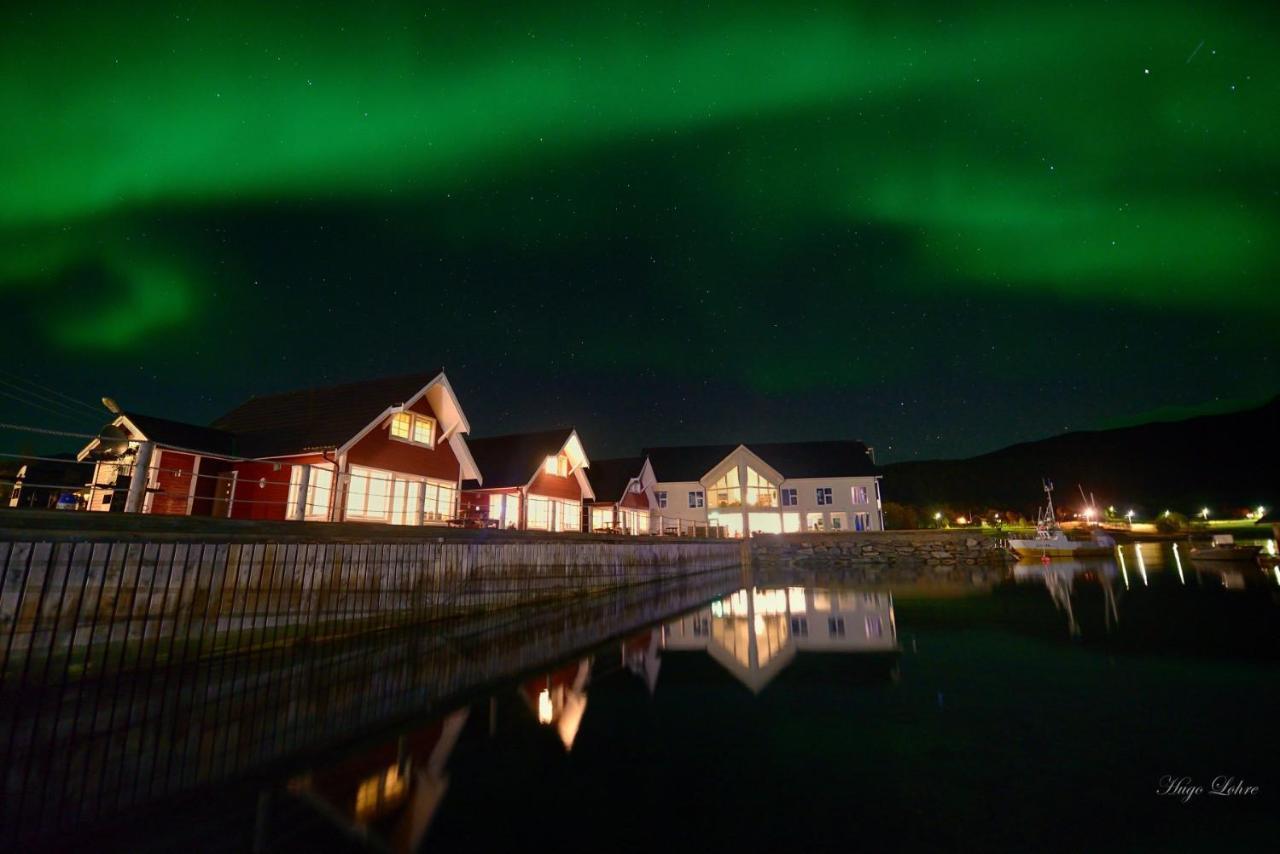 Senja Fjordhotell And Apartments Stonglandseidet Kültér fotó